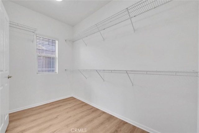 12455 Benton Dr Unit 2, Rancho Cucamonga, CA 91739 - spacious closet with light wood finished floors