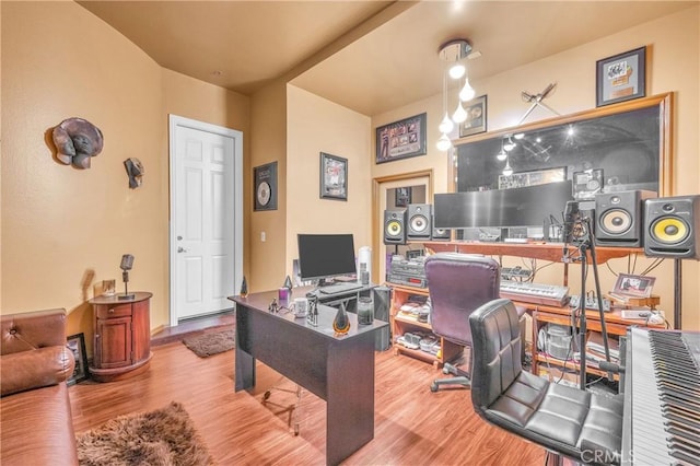 office featuring wood finished floors