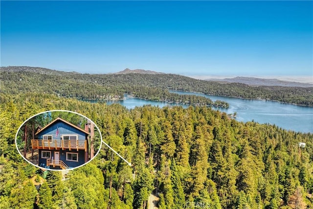 698 W Victoria Ct, Lake Arrowhead, CA 92352 - aerial view of property and surrounding area with a forest, a water and mountain view, and property boundaries highlighted