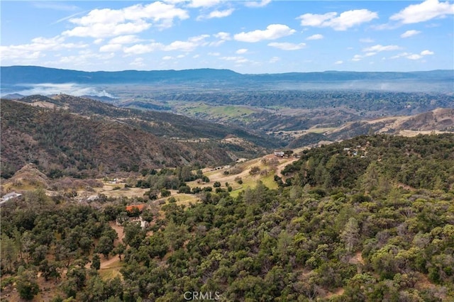9000 Figueroa Mountain Rd, Los Olivos, CA 93441 - view of mountain background with a forest