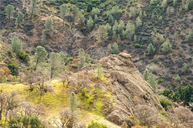 9000 Figueroa Mountain Rd, Los Olivos, CA 93441 - aerial overview of property's location