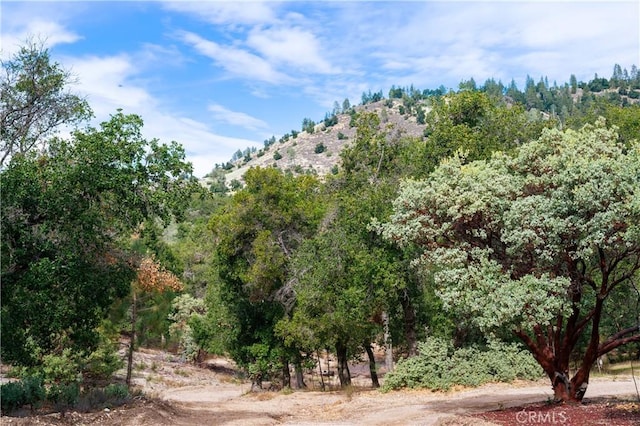 9000 Figueroa Mountain Rd, Los Olivos, CA 93441 - view of local wilderness with mountains