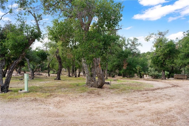 9000 Figueroa Mountain Rd, Los Olivos, CA 93441 - view of nature