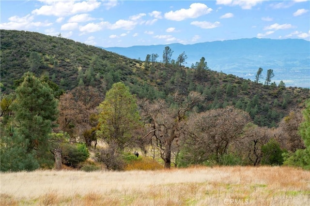 9000 Figueroa Mountain Rd, Los Olivos, CA 93441 - view of mountain backdrop