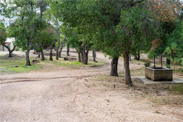 9000 Figueroa Mountain Rd, Los Olivos, CA 93441 - view of dirt / gravel road