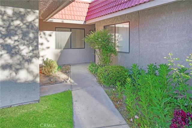 doorway to property with a tile roof and stucco siding