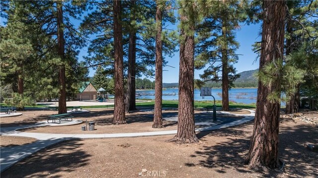 0 Marina Ct, Big Bear Lake, CA 92315 - photo 38
