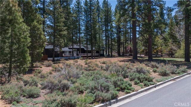 0 Marina Ct, Big Bear Lake, CA 92315 - photo 16