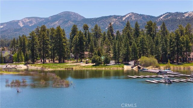 0 Marina Ct, Big Bear Lake, CA 92315 - photo 33