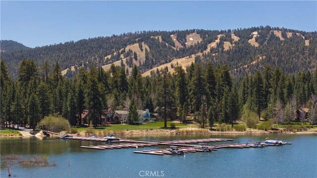 0 Marina Ct, Big Bear Lake, CA 92315 - photo 40