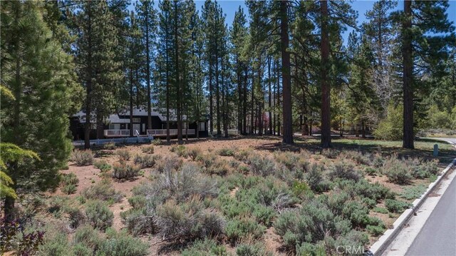 0 Marina Ct, Big Bear Lake, CA 92315 - photo 13