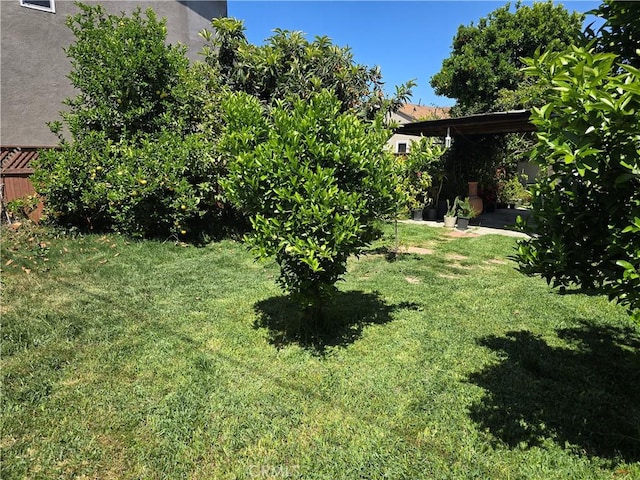 519 N Sloan Ave, Compton, CA 90221 - photo 4