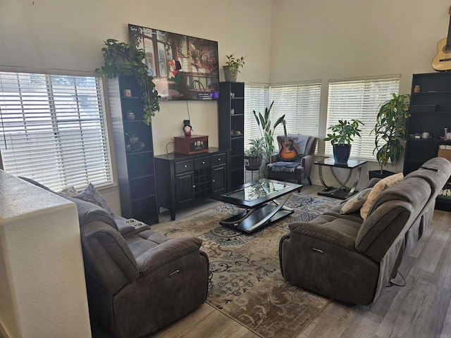 43075 Corte Fresca, Temecula, CA 92592 - living area with wood finished floors and a towering ceiling