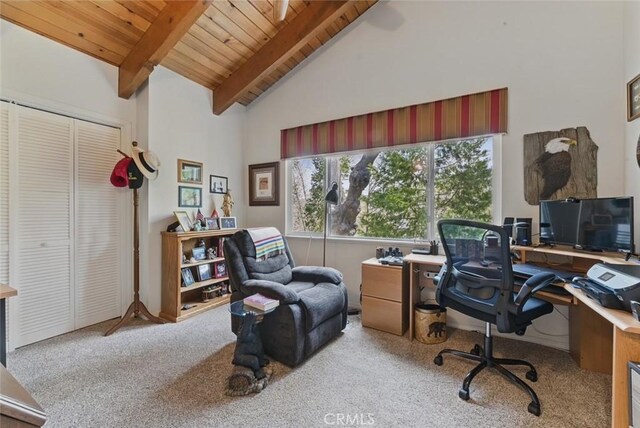 24232 Montreaux Dr, Crestline, CA 92325 - photo 20