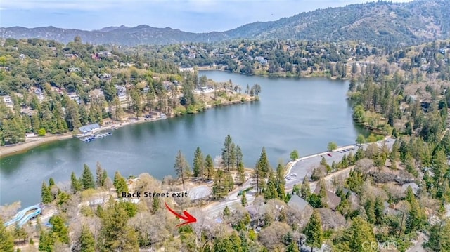 24232 Montreaux Dr, Crestline, CA 92325 - photo 1
