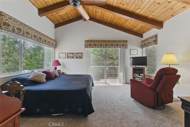 24232 Montreaux Dr, Crestline, CA 92325 - photo 34