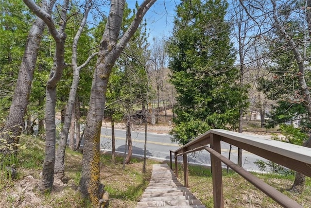 24232 Montreaux Dr, Crestline, CA 92325 - photo 59