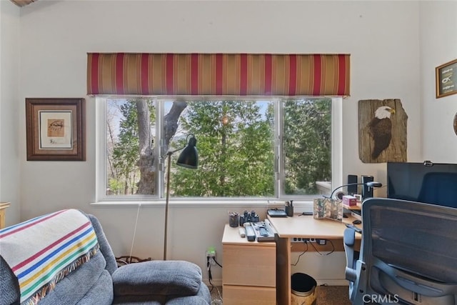 24232 Montreaux Dr, Crestline, CA 92325 - photo 21