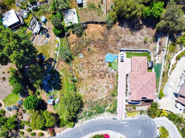 455 Avenida Esplendor, Walnut, CA 91789 - photo 8
