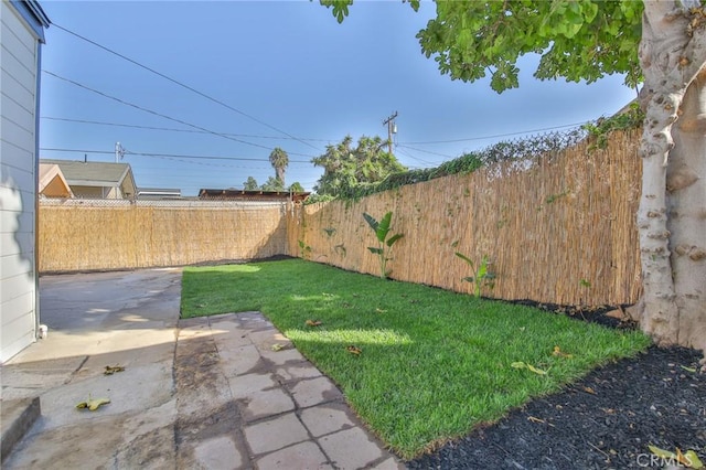 view of yard featuring a patio