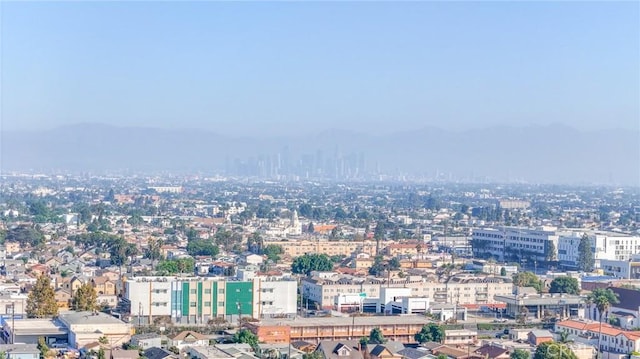 city view with a mountainous background