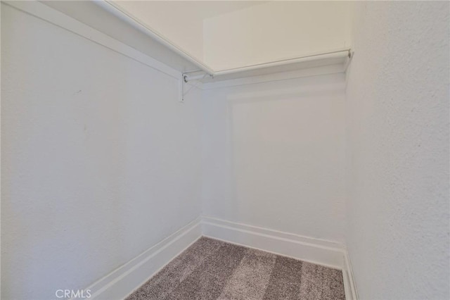 walk in closet with carpet flooring