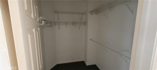 view of walk in closet