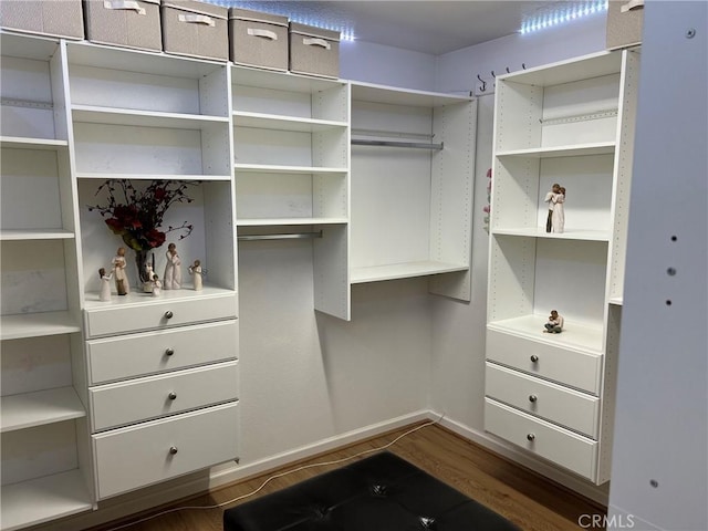 spacious closet featuring dark wood-style floors
