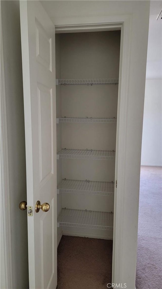 29746 Maxmillian Ave, Murrieta, CA 92563 - view of closet