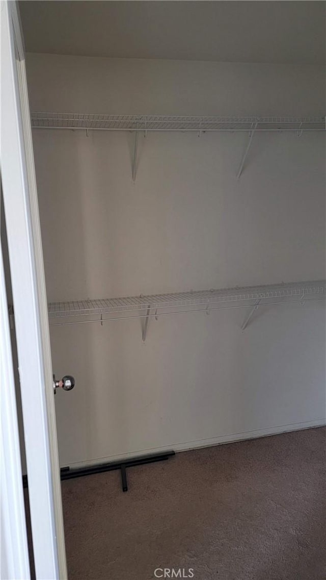 29746 Maxmillian Ave, Murrieta, CA 92563 - walk in closet with carpet floors