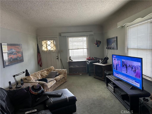 7423 Indiana Ave, Riverside, CA 92504 - living room featuring a textured ceiling and carpet floors