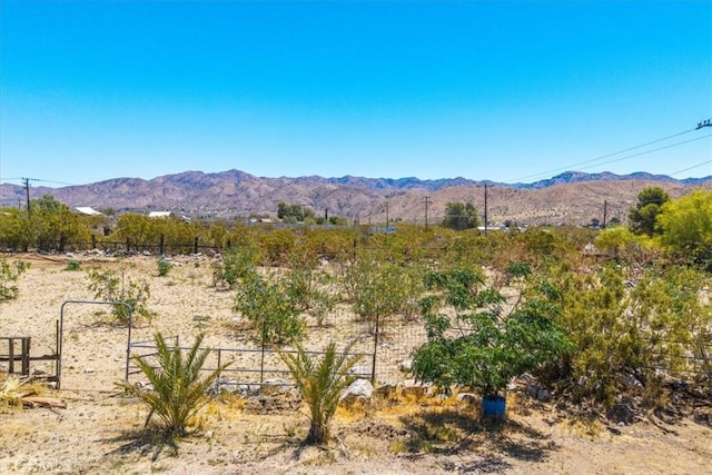 51000 Canyon Rd, Morongo Valley, CA 92256 - photo 72