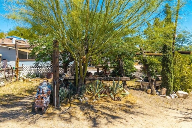 51000 Canyon Rd, Morongo Valley, CA 92256 - photo 61
