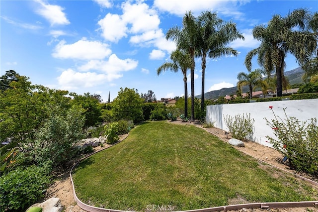 view of yard featuring a mountain view