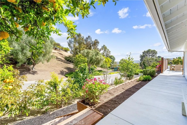 29951 Morongo Pl, Laguna Niguel, CA 92677 - view of yard featuring a patio area