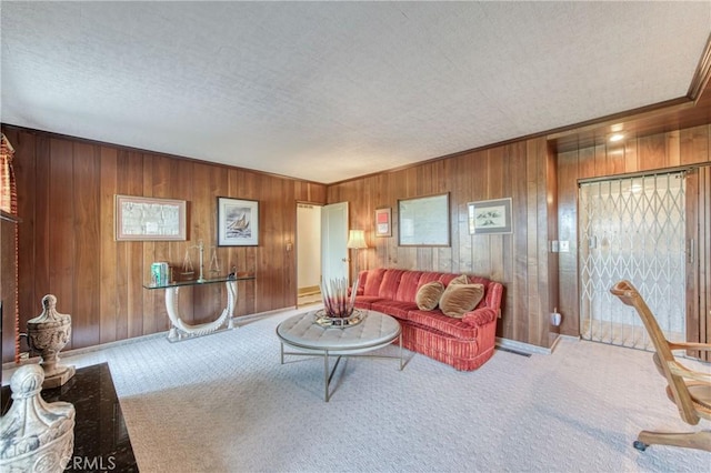 carpeted living area featuring wood walls and a textured ceiling
