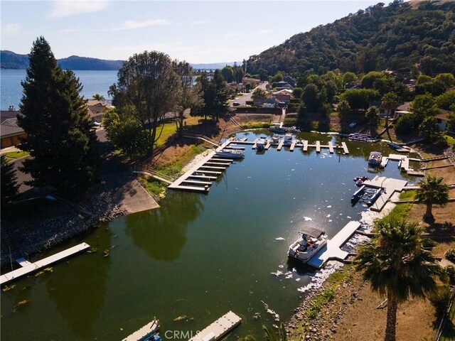 8456 Paradise Valley Blvd, Lucerne, CA 95458 - photo 16