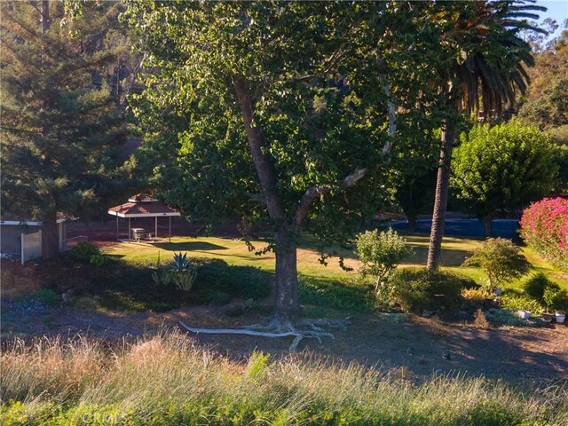 8456 Paradise Valley Blvd, Lucerne, CA 95458 - photo 21