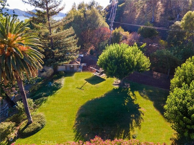 8456 Paradise Valley Blvd, Lucerne, CA 95458 - photo 19