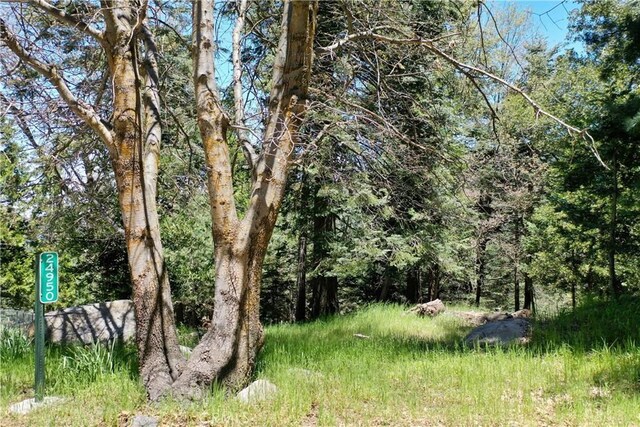 24950 Highland Dr, Crestline, CA 92325 - photo 42