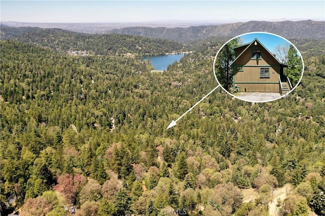 24950 Highland Dr, Crestline, CA 92325 - photo 2