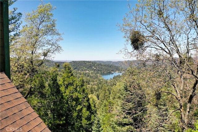 24950 Highland Dr, Crestline, CA 92325 - photo 34
