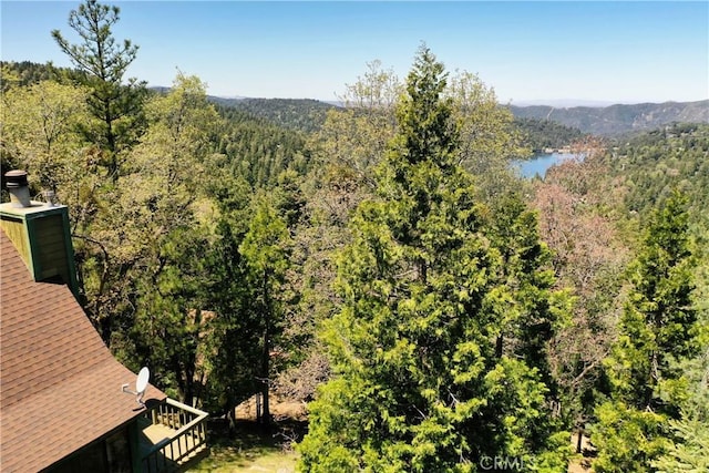 24950 Highland Dr, Crestline, CA 92325 - photo 38