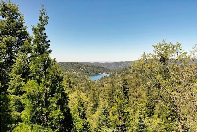 24950 Highland Dr, Crestline, CA 92325 - photo 36
