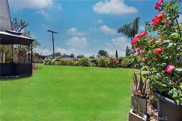 340 Terry Way, La Habra, CA 90631 - view of green lawn