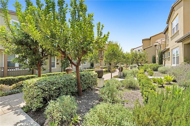 281 N Mar Vista Ave Unit 23, Pasadena, CA 91106 - view of community featuring a residential view