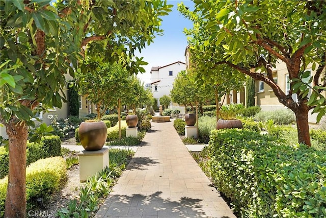 281 N Mar Vista Ave Unit 23, Pasadena, CA 91106 - view of surrounding community