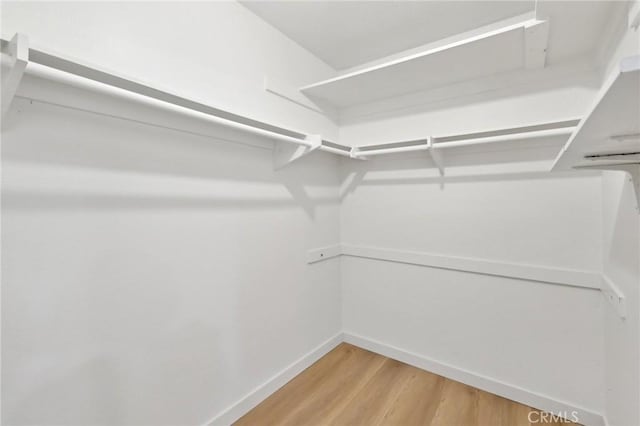 383 N Melrose Dr Unit G, Vista, CA 92083 - walk in closet with light wood-type flooring