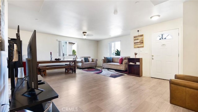 living room featuring light wood-style flooring