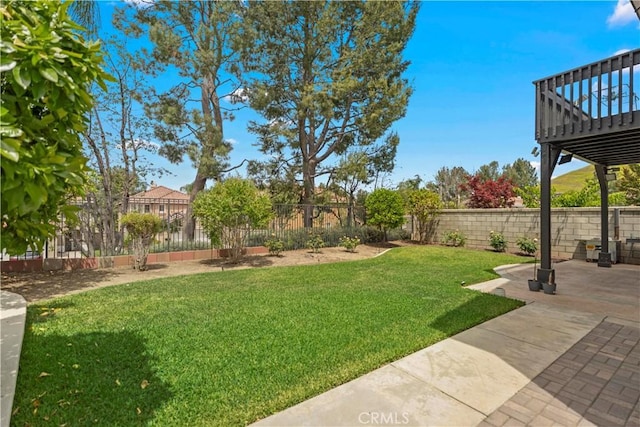 view of yard featuring a patio